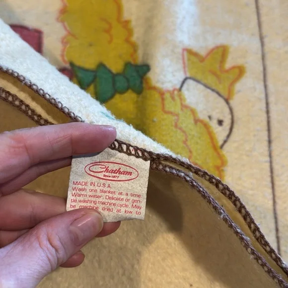 Vintage 80s sesame street blanket